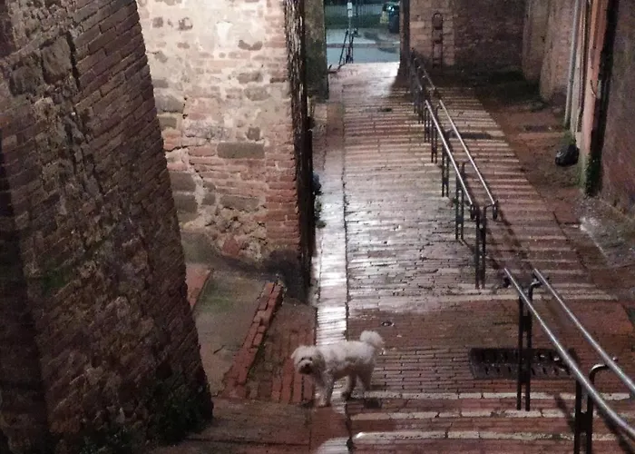 Centro Storico - Vista Su Assisi