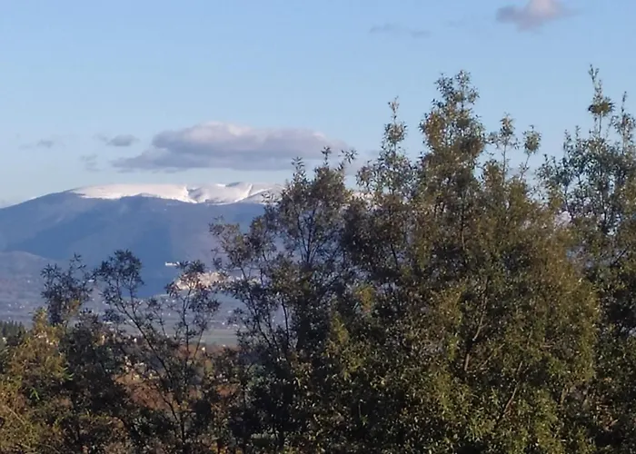 Centro Storico - Vista Su Assisi Apartamento *