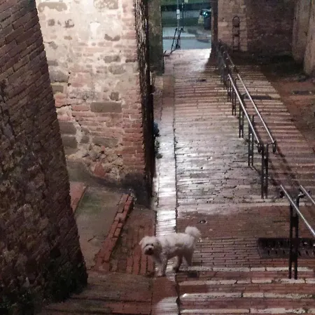 Centro Storico - Vista Su Assisi